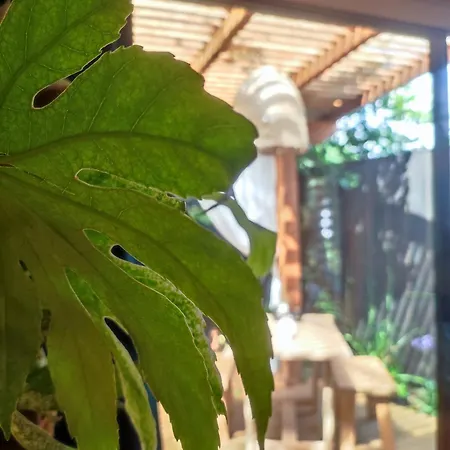 Timebasishotel Kanopya Lacanau