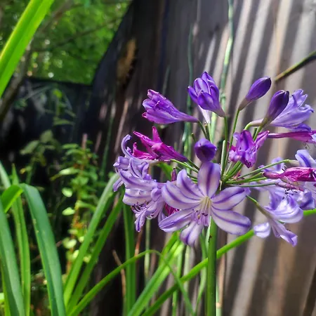 Kanopya Romantiskt hotell