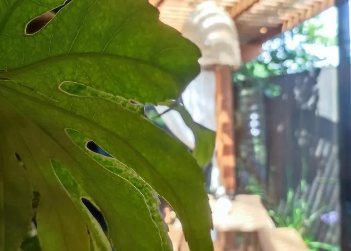 Ξενοδοχείο ημιδιαμονής Kanopya Lacanau